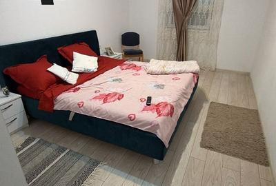 Sanandrei Casa Individuala Mobilata si Utilata, Panouri+Baterii - 3