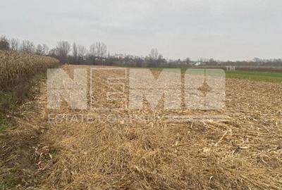 Teren Construcții intravilan de 6400 mp, în Frătăuții Noi
