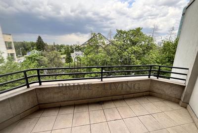 APARTAMENT SPAȚIOS LA INCHIRIERE IN ZONA AVIATORILOR - 4