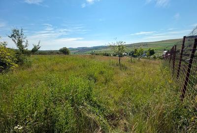 Teren intravilan 3.834 mp Babutiu | Panorama superba mai putin de 20 km de Cluj - 3