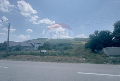 3700mp la principală, 1077mp intravilan, Cotofenii din Dos - 8