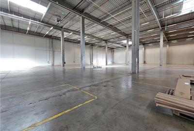 Spatiu Industrial - 4300 mp - Logistica - Productie - Depozitare - Distributie - 14