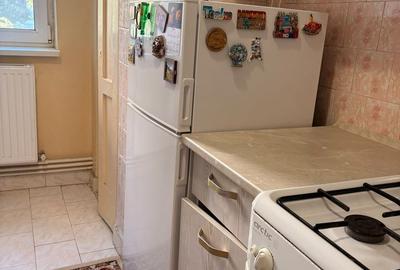 Apartament 2 camere– Lăpușneanu / Satul de Vacanță - 11