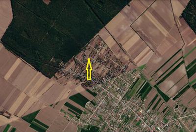 Teren intravilan-Moara Vlasiei 1.008 mp, toate utilitățile, la marginea pădurii - 3