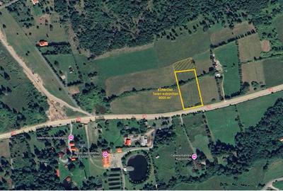 Teren extravilan in Borzont, langa DN13B - 7