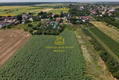 Teren 2.700 mp Ciocănești - Urziceanca | La asfalt - 12
