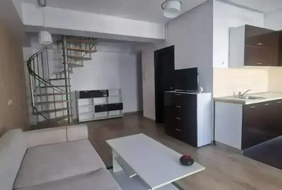 Apartament tip duplex Parcul Carol - 3