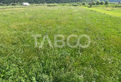 Teren intravilan de vanzare 3450 mp Boita 35 m deschidere langa A1 - 1
