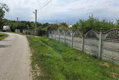 Domeniu rural, gospodarie/multifunctionala cu casa, livada, vie - 48