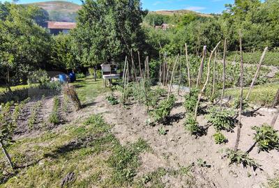 Casa individuala 70 mp, teren 926 mp, in Gădălin, Comuna Jucu - 14