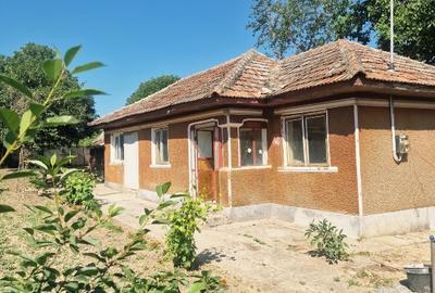 Proprietate de vânzare în Dridu – teren generos și uitilități - 1