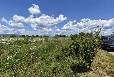 Loturi de casă în Hălchiu - Brașov. - 8
