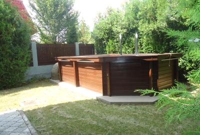 Fully furnished villa in Pipera - 34