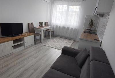 Apartament cu 2 camere decomandat, mobilat în Frumoasa
