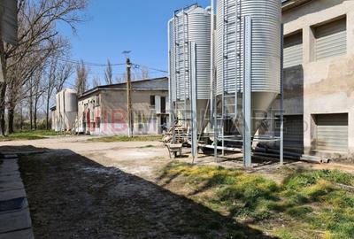 Ferma avicola populata, aparoape de Oradea - 4