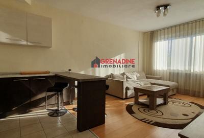 Studio Modern 44 mp Str. Baba Novac - Zona Gemenii - 5