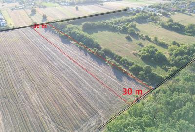 Teren pentru case la padure in Bolintin Deal. aces la 2 drumuri. - 3
