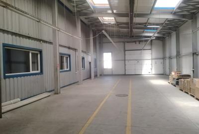 HALA POD INTRARE OTOPENI - 4