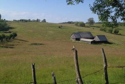 De vanzare teren in zona Crint -Tilisca in golul alpin, direct de la proprietar! - 1
