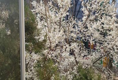Apartament 3 camere, et 2/10, parcare, Unirii, Scoala 79, 600 euro - 20