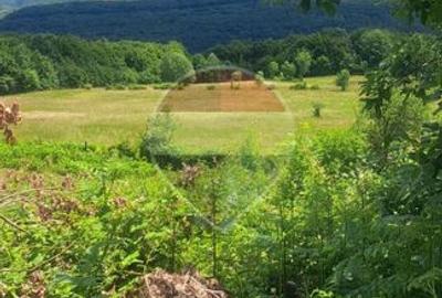De vânzare teren intravilan 3,690mp Suncuius - 13