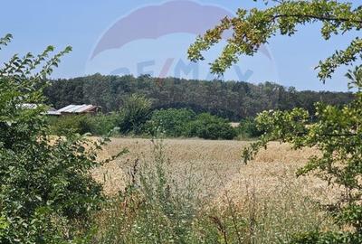 Vanzare Teren Intravilan Buftea, 750mp, str. Ulmului, Pista Biciclete - 5