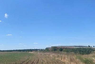 DN1 Snagov, Ghermanesti A3, Peris Niculesti  Vanzare Teren - 8