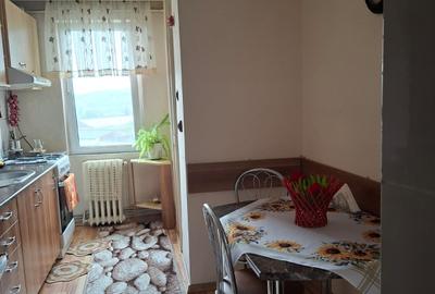 APARTAMENT ULTRACENTRAL,FINISAT,MOBILAT SI UTILAT CU PANORAMA SUPERBA - 6