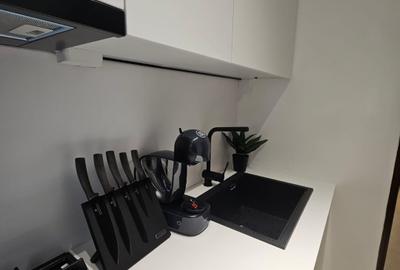Garsonieră premium, complet renovată de inchiriat : Disponibila imediat - 15