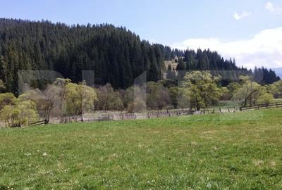 Teren Construcții intravilan de 1299 mp, în Exterior Vest