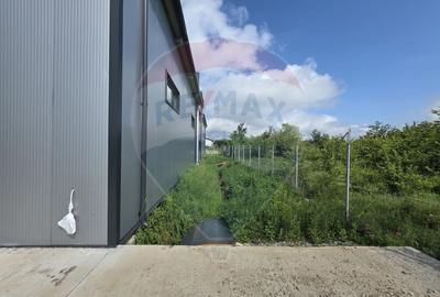 DE INCHIRIAT Hala industriala 596mp | Teren 2500mp | Buftea - 10