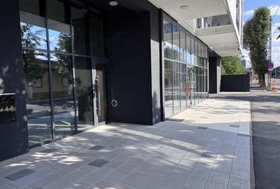 Proiect imobiliar Nou - Direct de la dezvoltator - Malul Crisului - 4