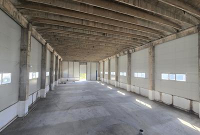 Inchiriere  HALA Industriala | CUG | 1000mp | 12M ÎNĂLȚIME | ACCES TIR - 9