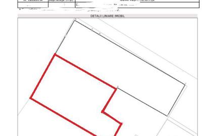 Zona Valea Cascadelor sp 220 mp inchiriat - 2