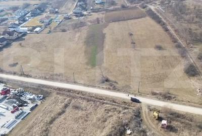 Teren Construcții intravilan de 4100 mp, în Viișoara