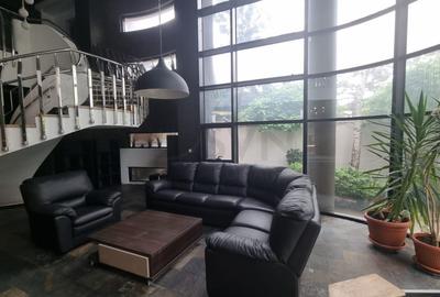 Casă individuală cu 8 camere în Colentina