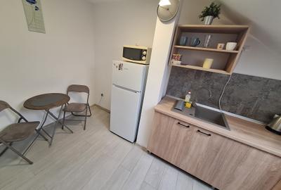 240 euro!!!Ap.cu 1 camera Et 1 Zona Bogdanestilor - 6