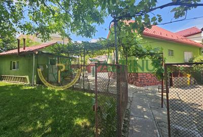Casa de vanzare pe un nivel in Turnisor, Sibiu - 8