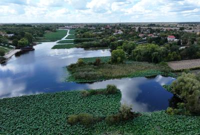 Vila în Snagov cu ieșire la lac/ponton si zona de relaxare - 5