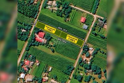 Teren intravilan 1.500 mp, 2 fronturi, Hilișeu-Horia, Botoșani - 5