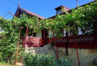 Resedinta vacanță in mediu rural  intravilan - 3