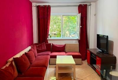 Apartament renovat, mobilat, linistit - 2