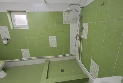 Casă complet renovată RATESTI, Tigveni – Argeș cu teren 1746 mp - 14