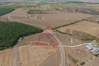 Teren 7.315 mp, Inel Metropolitan, proxim Zoopark Oradea, de vânzare - 9