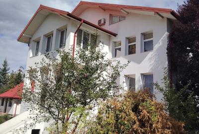 Proprietate generoasă, 18 camere, 800 mp utili, teren 1.300 mp – Iași, Bucium - 10