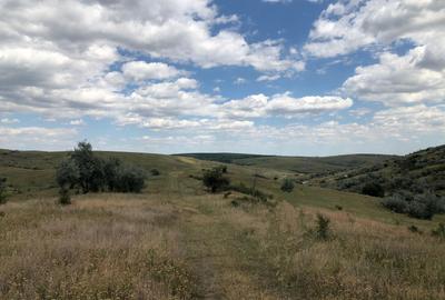 Teren agricol extravilan de 500000 mp, în Tohani