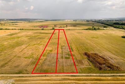 RECO teren extravilan ideal pentru balastiera in Rosiori - 2