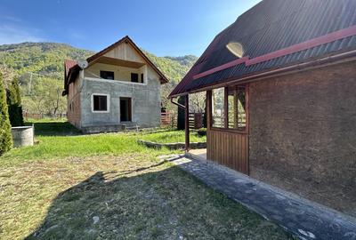 Casa cu teren langa râu Lotrioara - 6