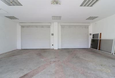 Casa individuala, plan parter in Mehala - 18
