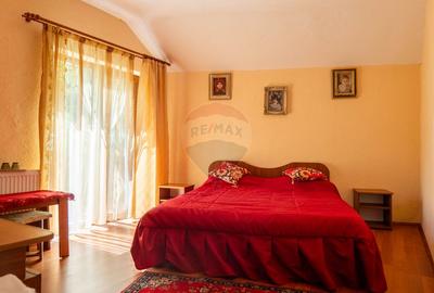 Vanzare vila-pensiune D+P+M 10 camere de vânzare, Daesti jud. Valcea - 4